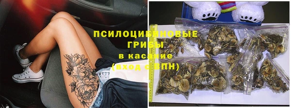 прущие крисы Кодинск